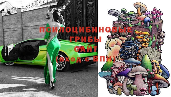 spice Алзамай